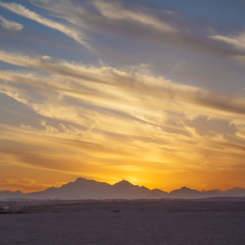Photo #13850647