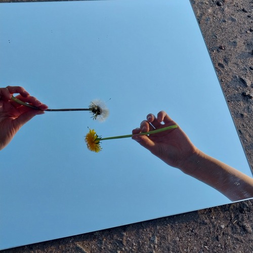 Photo #13850657