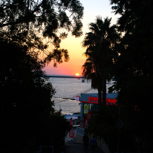 Photo #13850683