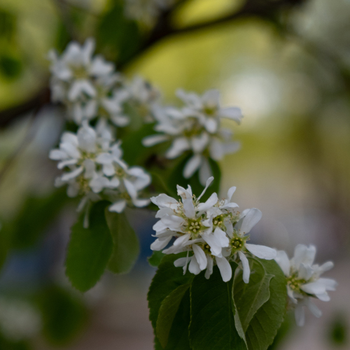 Photo #13850754