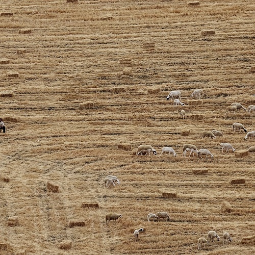 Photo #13850863