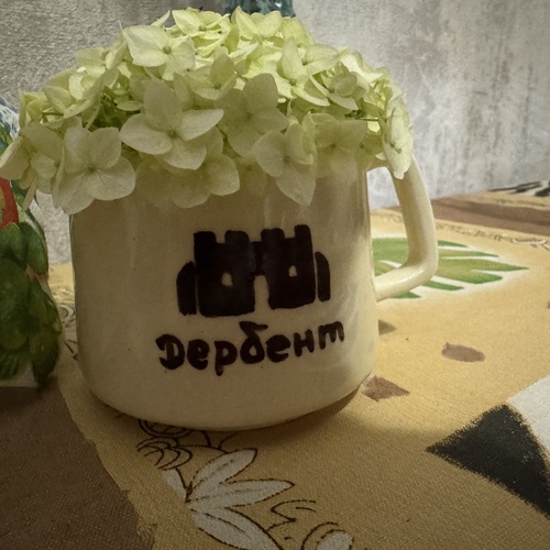 Фотография #13850874