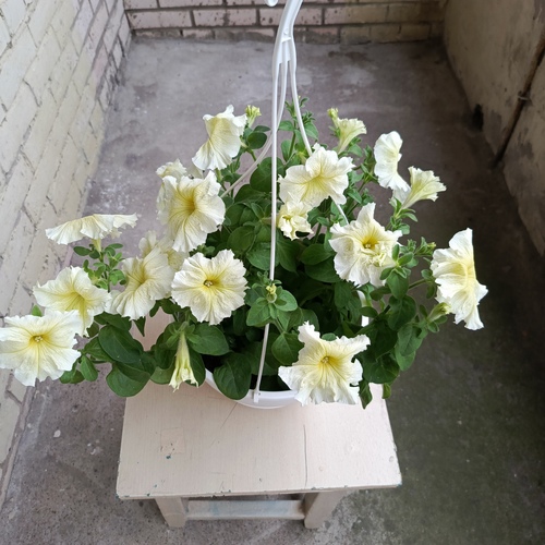 Photo #13850879