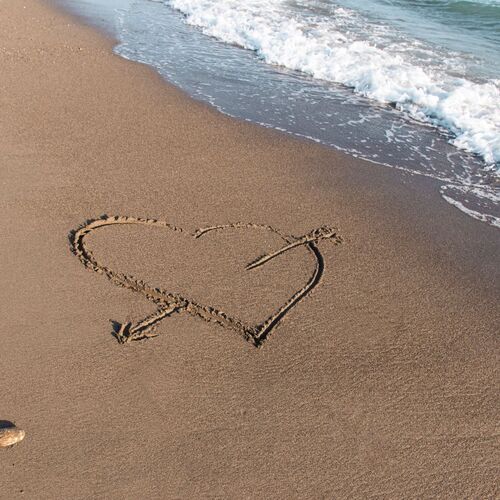 Фотография #13850895