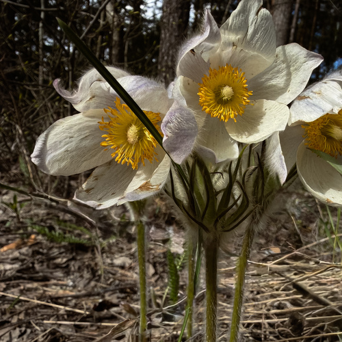 Photo #13850922