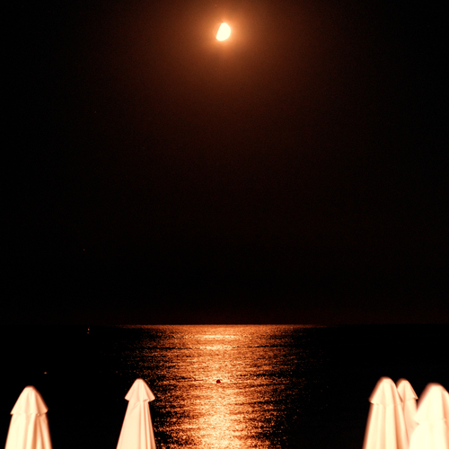 Photo #13850923
