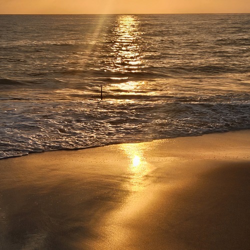 Photo #13850932
