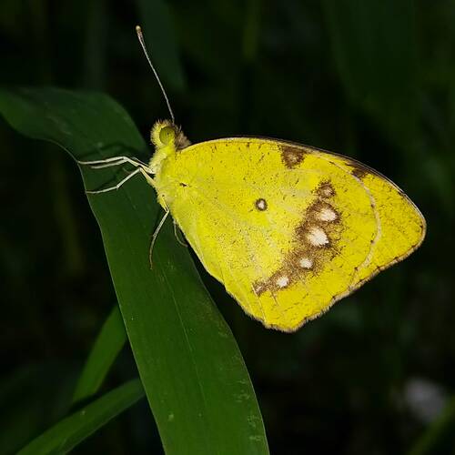 Photo #13850936