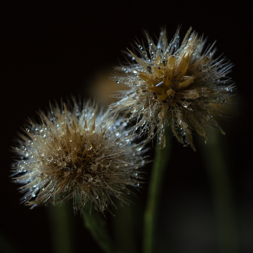 Photo #13850989