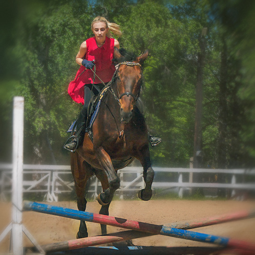 Photo #13851031