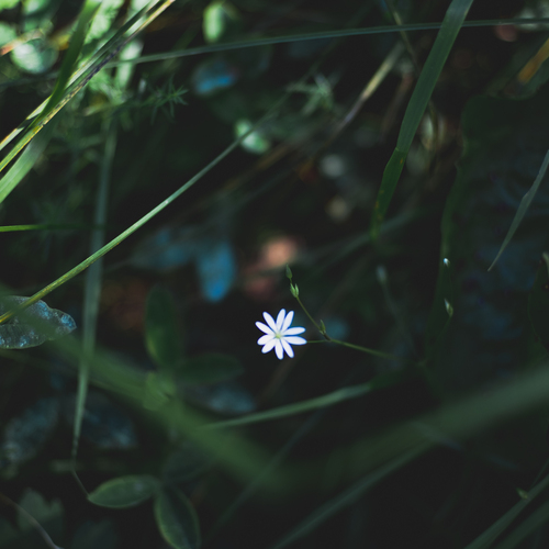 Photo #13851059