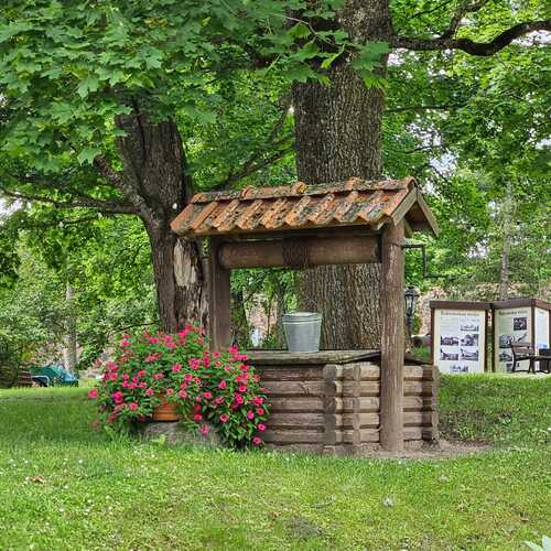 Photo #13851061
