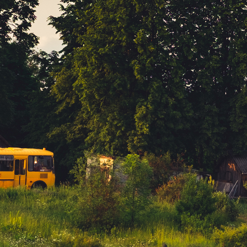 Photo #13851075
