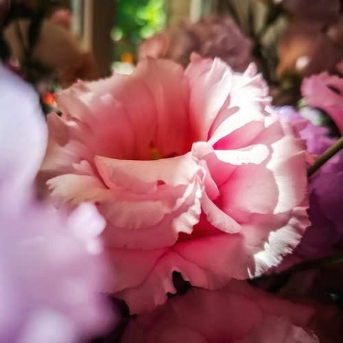 Photo #13851081
