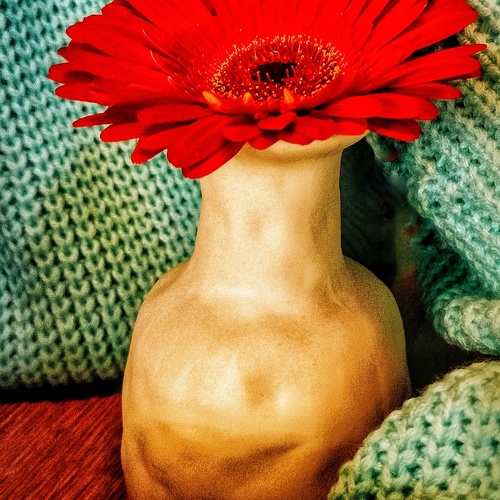 Photo #13851083