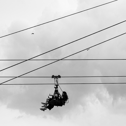 Photo #13851091