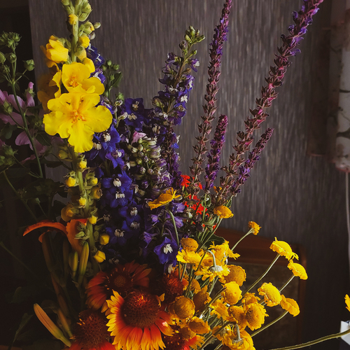 Photo #13851096