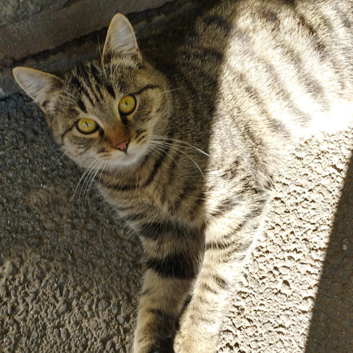 Photo #13851097
