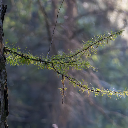Photo #13851148