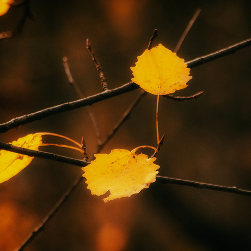 Photo #13851263