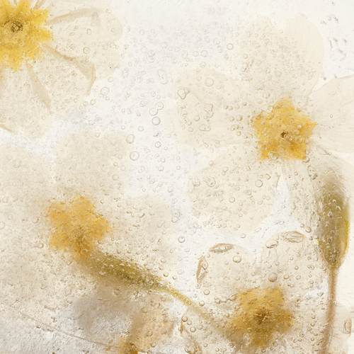 Photo #13851493