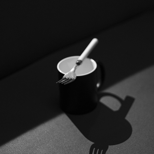 Photo #13851561