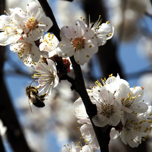 Photo #13851612