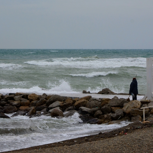 Photo #13851662