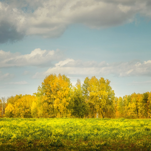 Photo #13851697