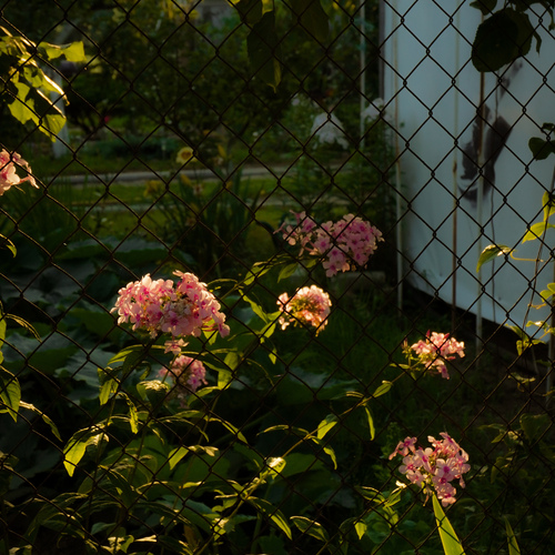 Photo #13851794