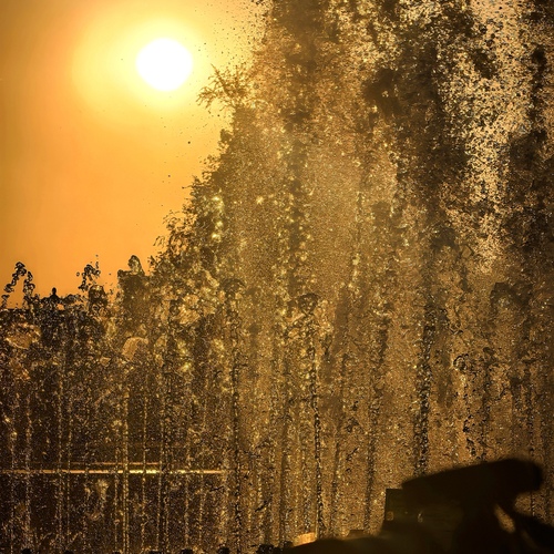 Photo #13851798