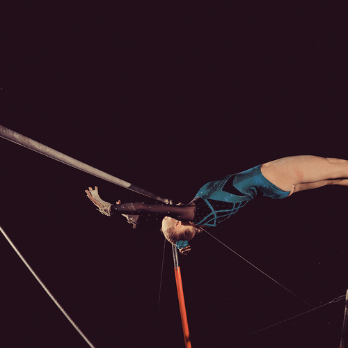 Photo #13851816