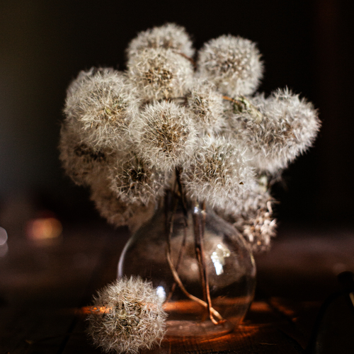 Photo #13851867
