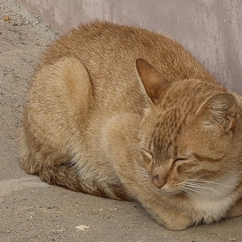 Photo #13851917