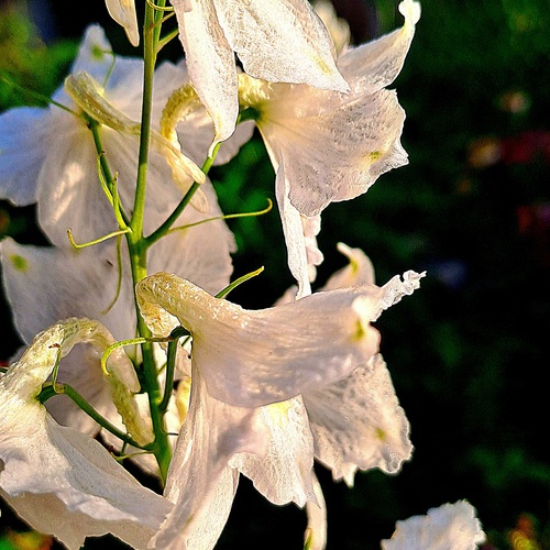 Photo #13851966