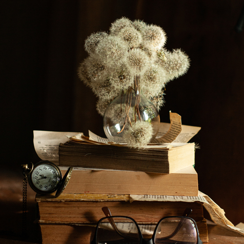 Photo #13852087