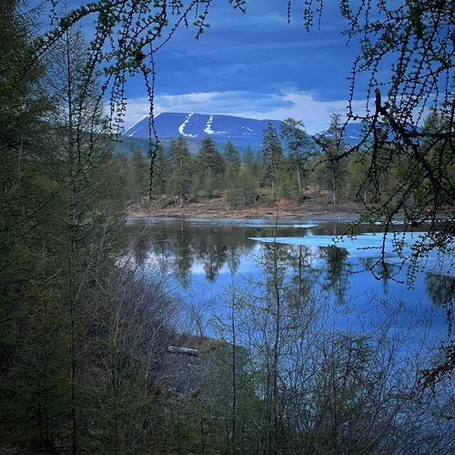 Photo #13852099