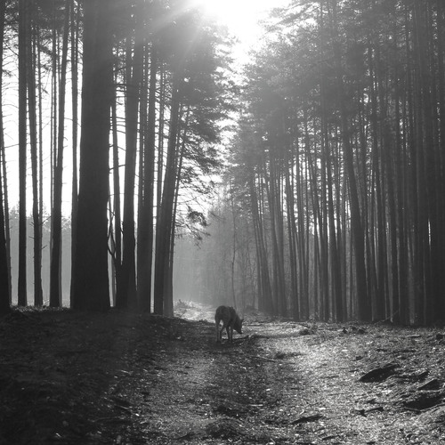 Photo #13852122