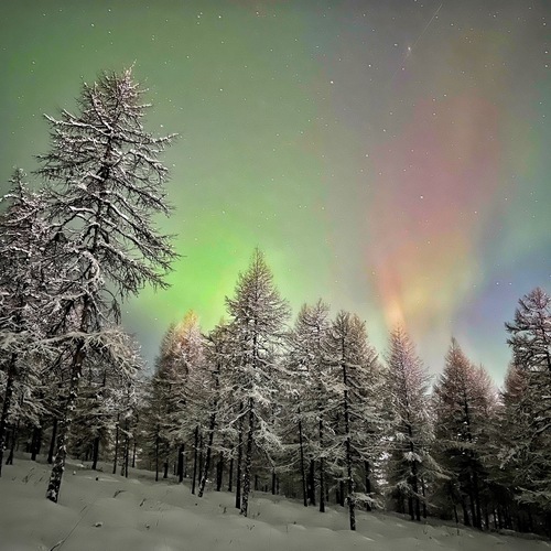 Photo #13852124