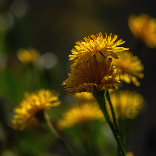 Photo #13852136