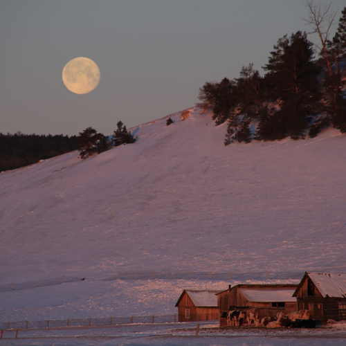 Photo #13852156