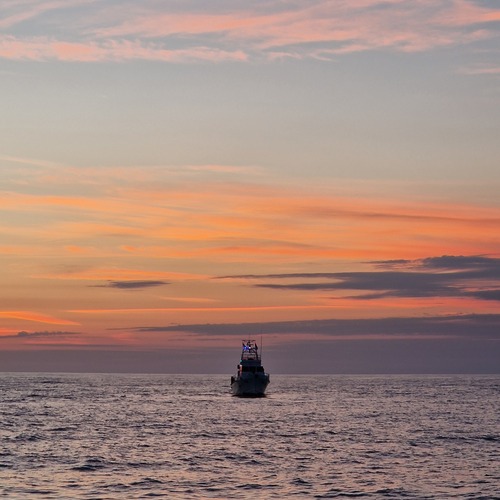 Photo #13852220