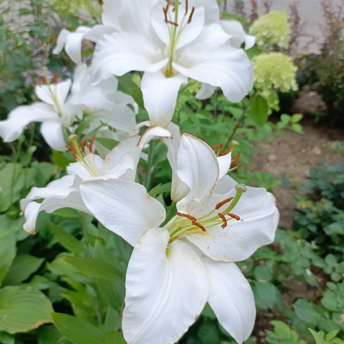 Photo #13852242