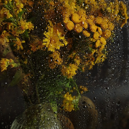 Photo #13852266