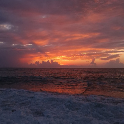 Photo #13852283
