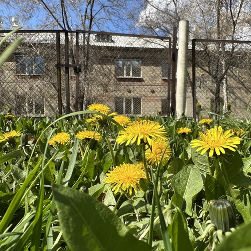Photo #13852338