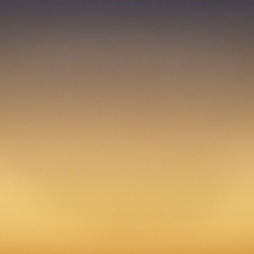 Photo #13852340