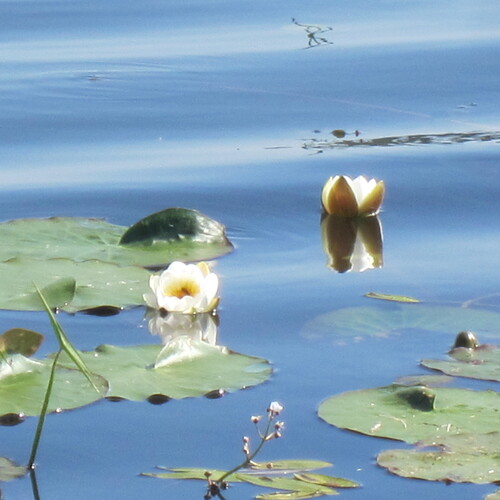 Photo #13852397