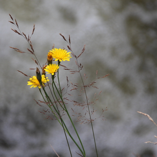 Photo #13852398