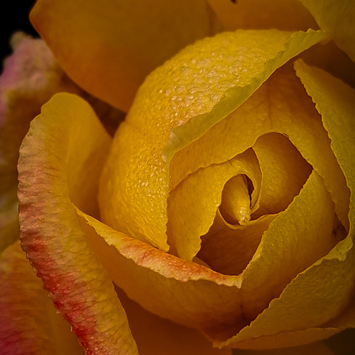 Photo #13852405